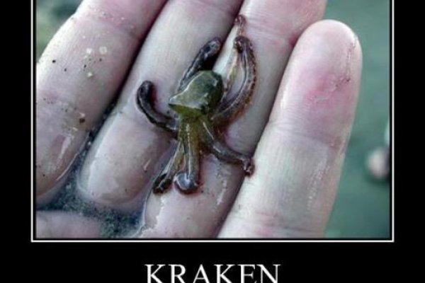 Ссылки kraken kraken6.at kraken7.at kraken8.at